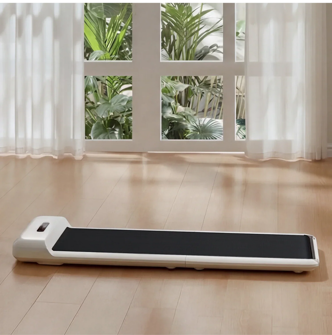 WalkingPad C2 in a home setting beside plants and a window